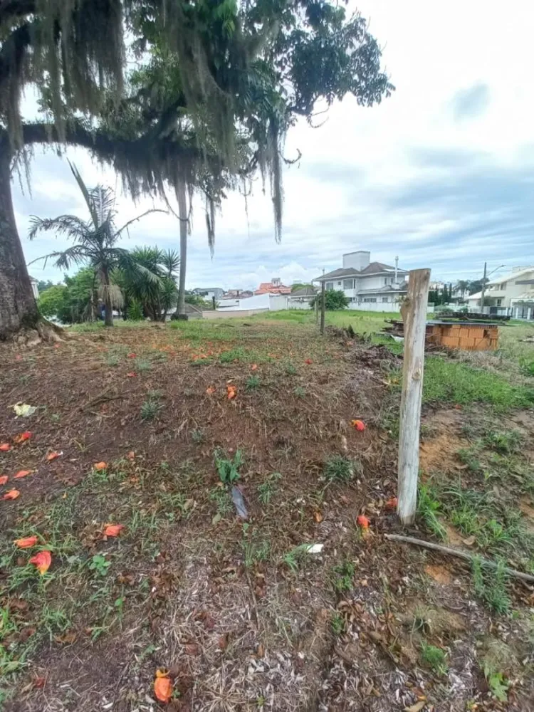 Terreno, 450 m² - Foto 5