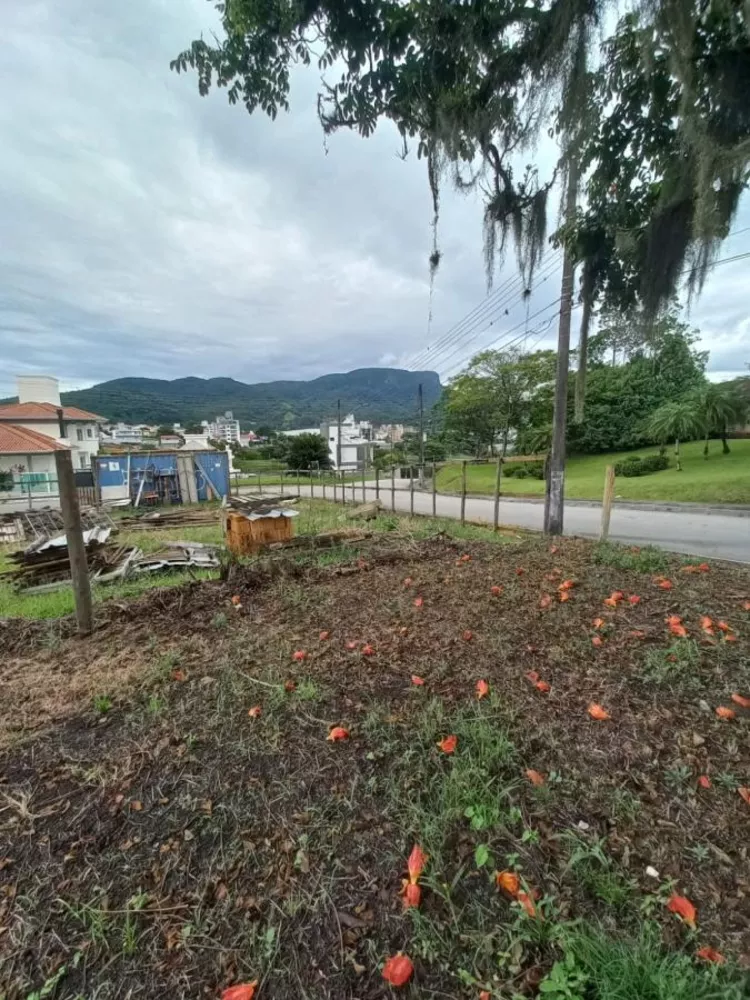 Terreno, 450 m² - Foto 5
