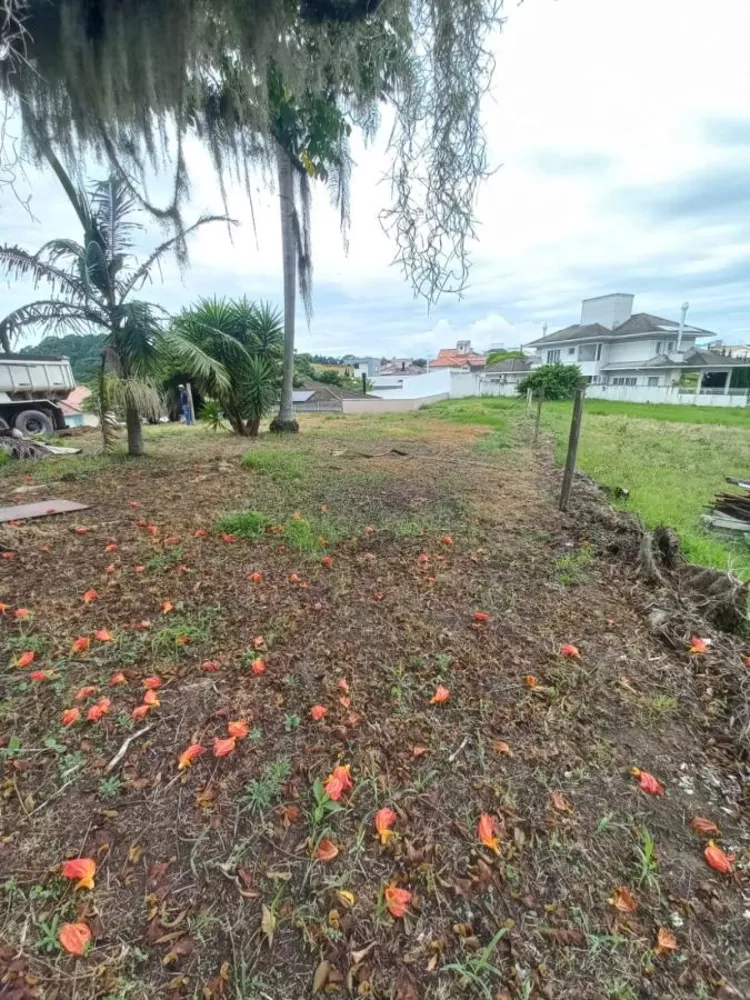 Terreno, 450 m² - Foto 3