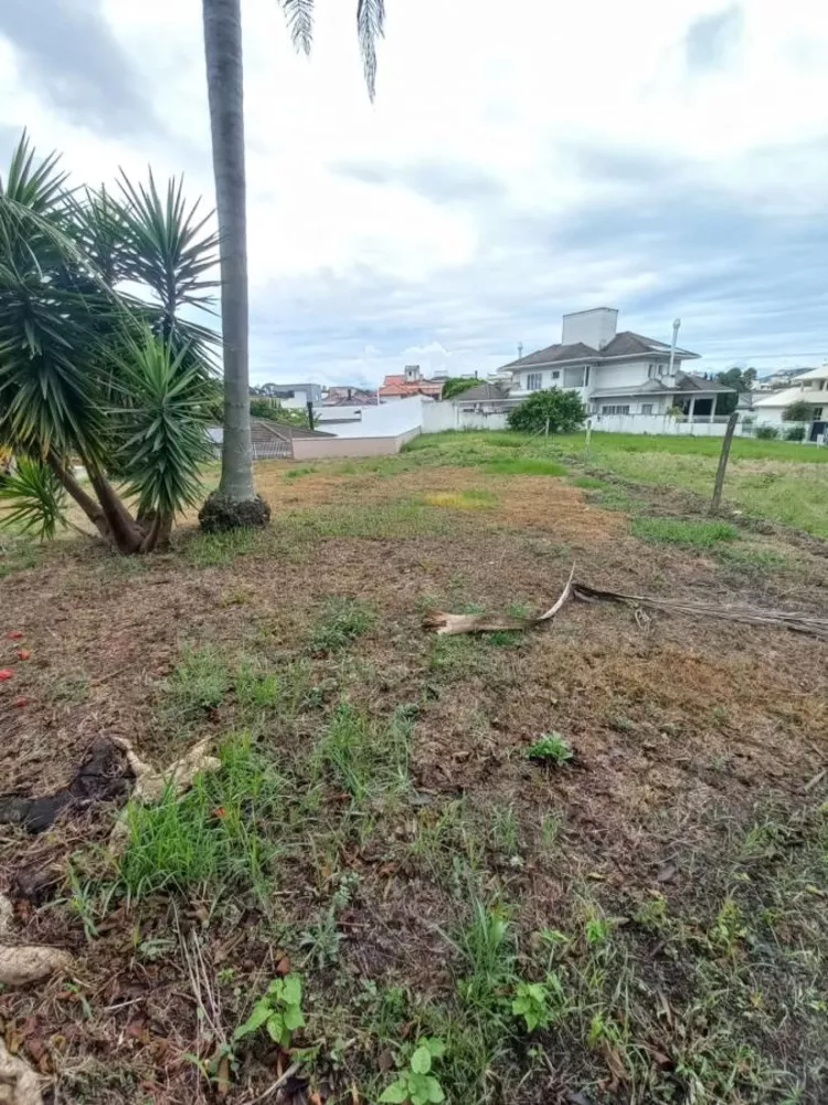 Terreno, 450 m² - Foto 2