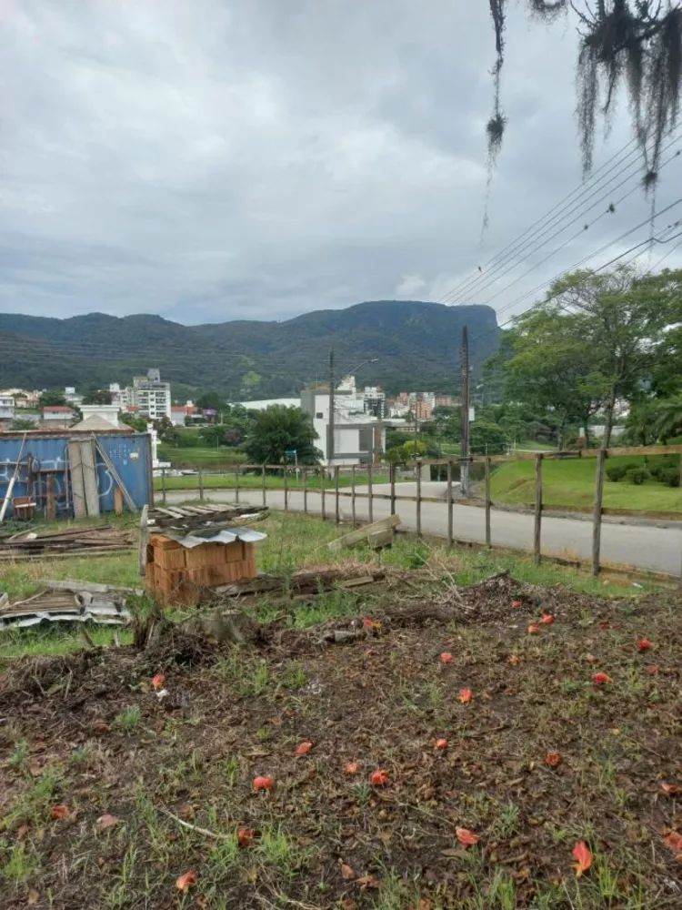 Terreno, 450 m² - Foto 6