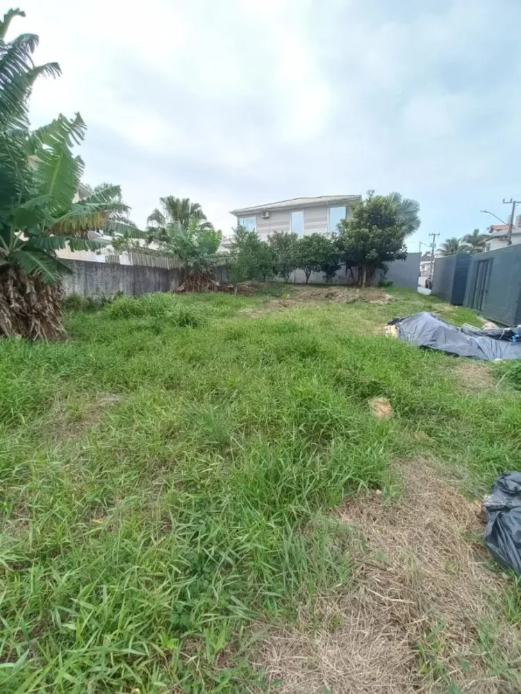 Terreno, 450 m² - Foto 6