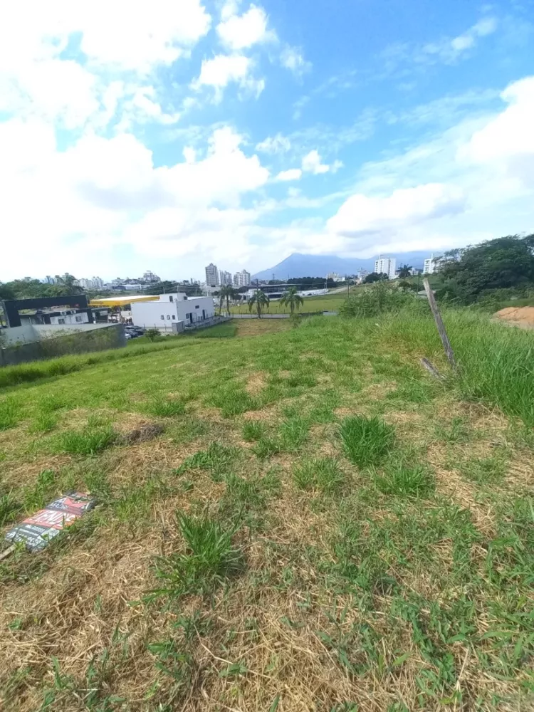 Terreno, 470 m² - Foto 5