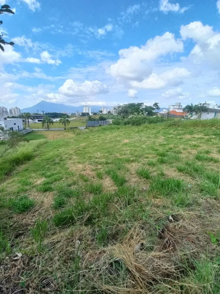 Terreno, 470 m² - Foto 4