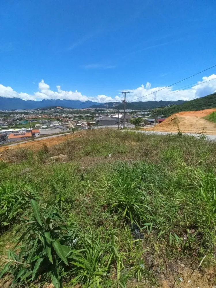 Terreno, 438 m² - Foto 5