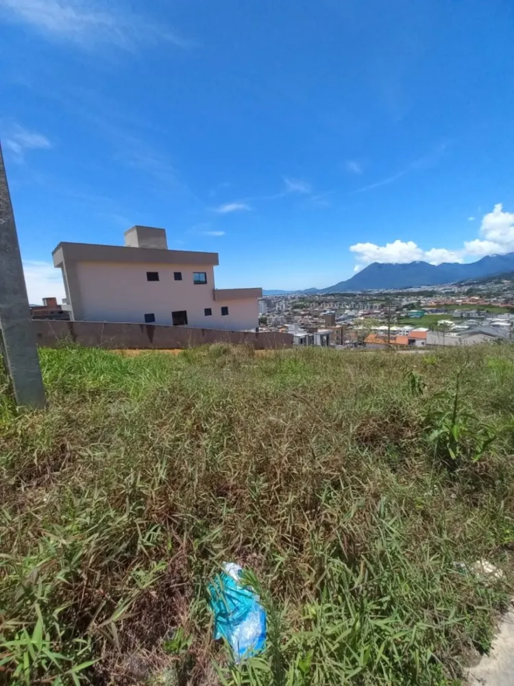 Terreno, 438 m² - Foto 2
