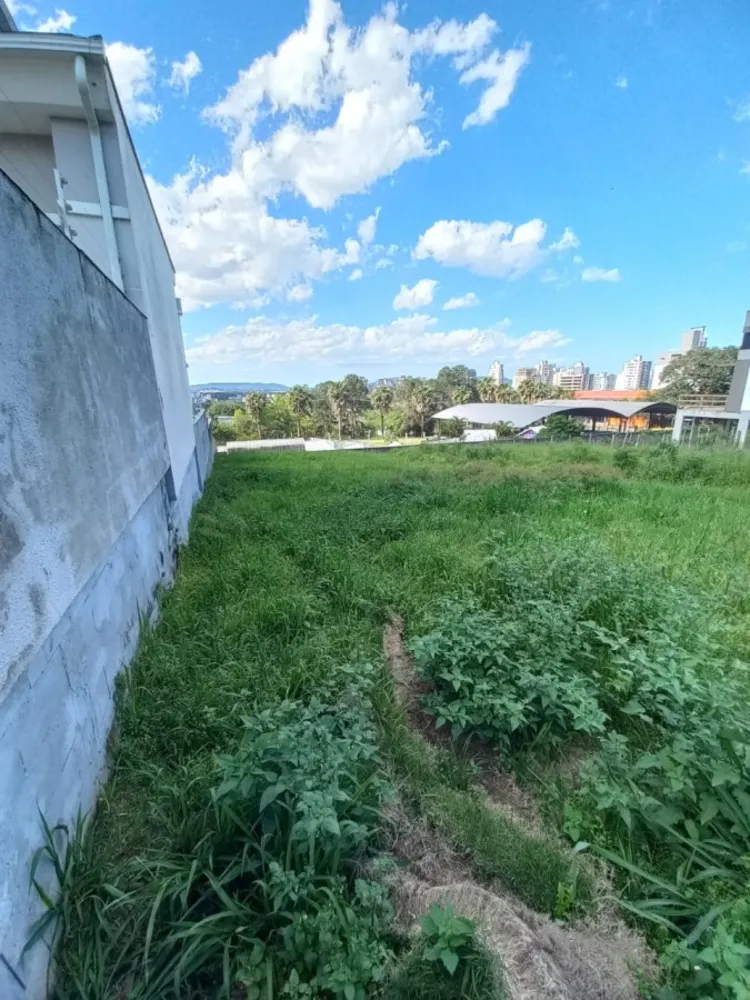 Terreno, 436 m² - Foto 5