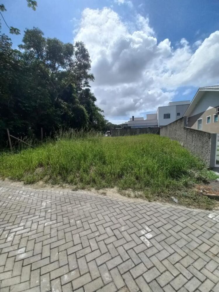 Terreno à venda, 239m² - Foto 4
