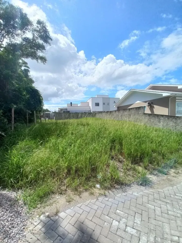 Terreno, 239 m² - Foto 1