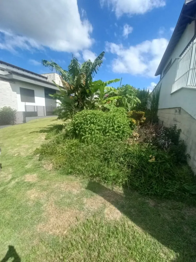 Terreno, 445 m² - Foto 4