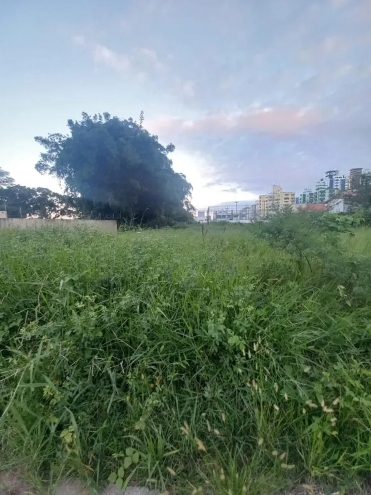 Terreno, 624 m² - Foto 7
