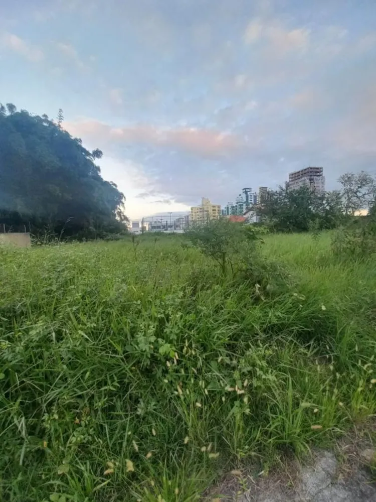 Terreno, 624 m² - Foto 6