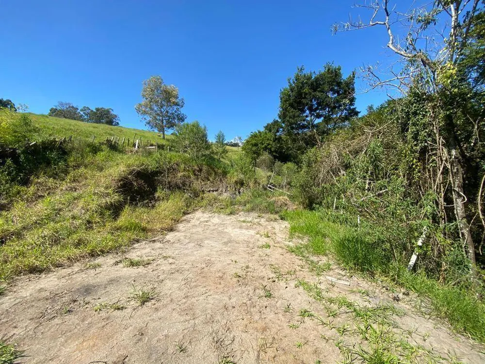 Sítio, 3 quartos, 4 hectares - Foto 4