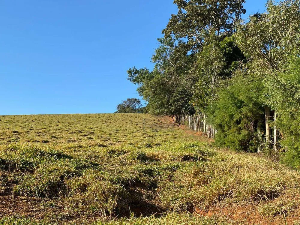 Sítio, 14 hectares - Foto 4