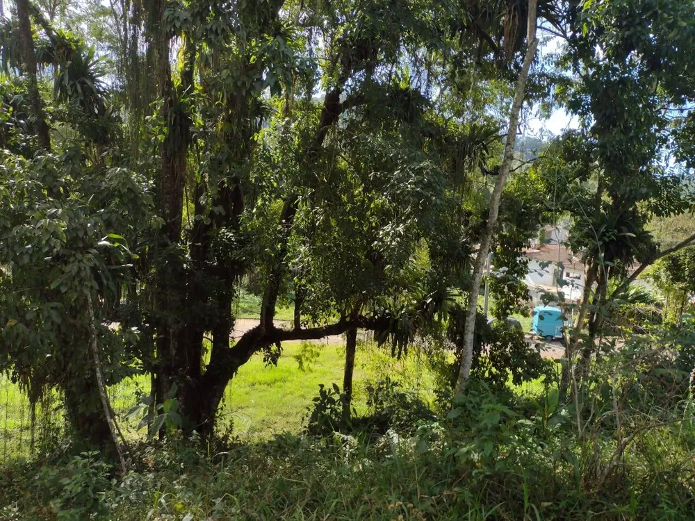Terreno, 450 m² - Foto 6