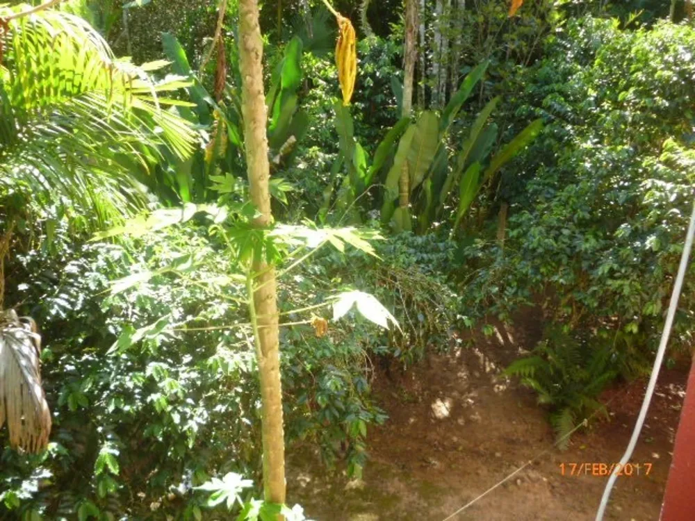 Sítio, 3 quartos, 6 hectares - Foto 30