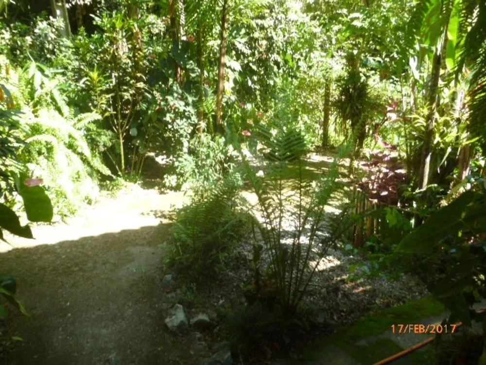 Sítio, 3 quartos, 6 hectares - Foto 7