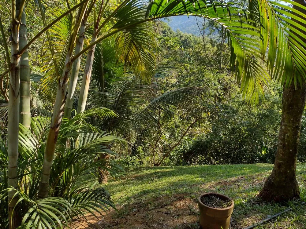 Casa, 4 quartos, 300 m² - Foto 35