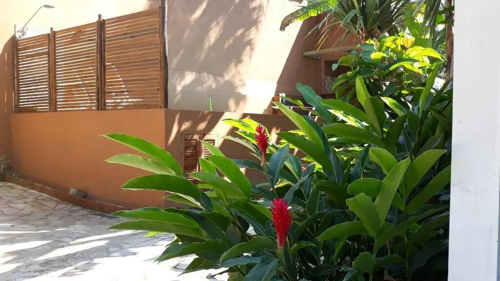 Casa, 6 quartos, 400 m² - Foto 7
