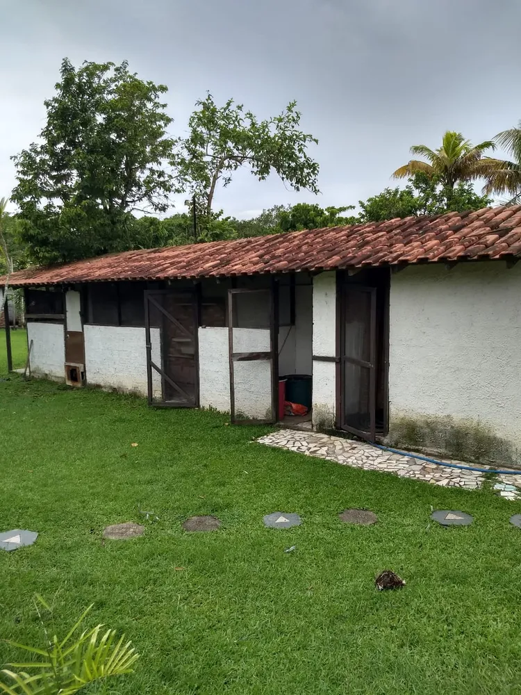 Sítio, 5 quartos, 3411 m² - Foto 17