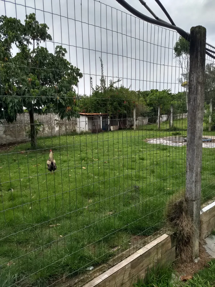 Sítio, 5 quartos, 3411 m² - Foto 15