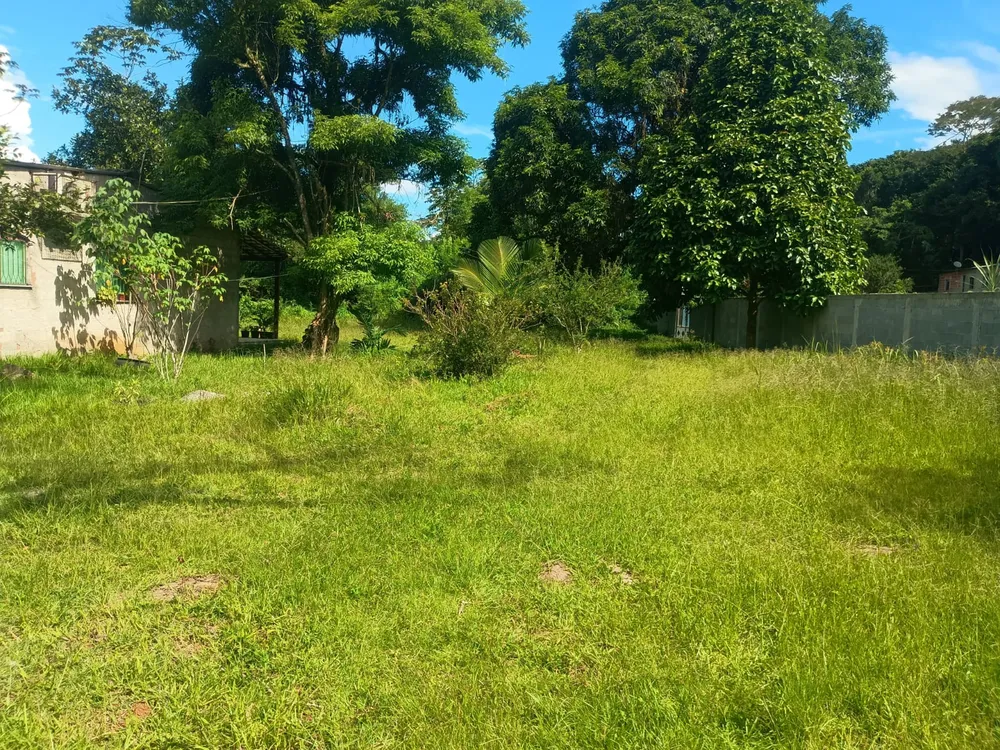 Sítio, 2 quartos, 4800 m² - Foto 19
