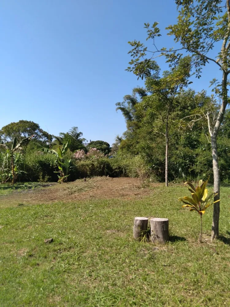 Sítio, 2 quartos, 4800 m² - Foto 15