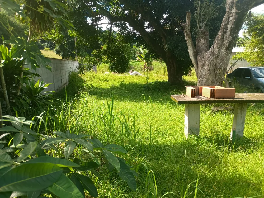 Sítio, 2 quartos, 4800 m² - Foto 20