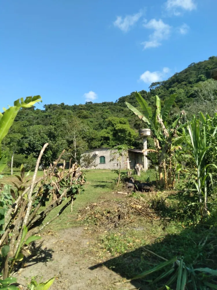 Sítio, 2 quartos, 4800 m² - Foto 11
