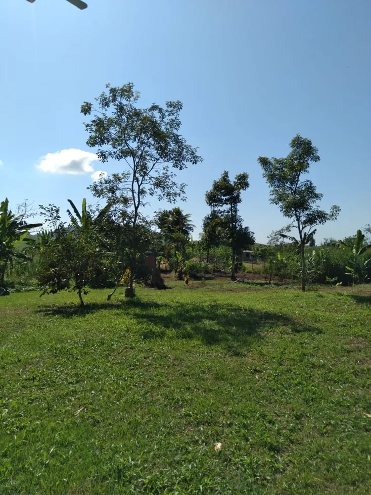 Sítio, 2 quartos, 4800 m² - Foto 18