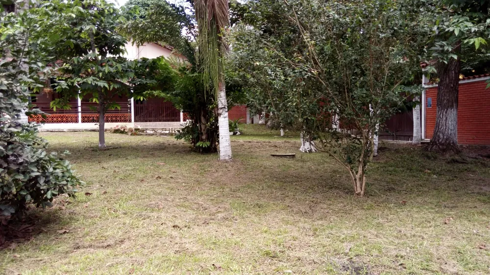 Sítio, 2 quartos, 4000 m² - Foto 11