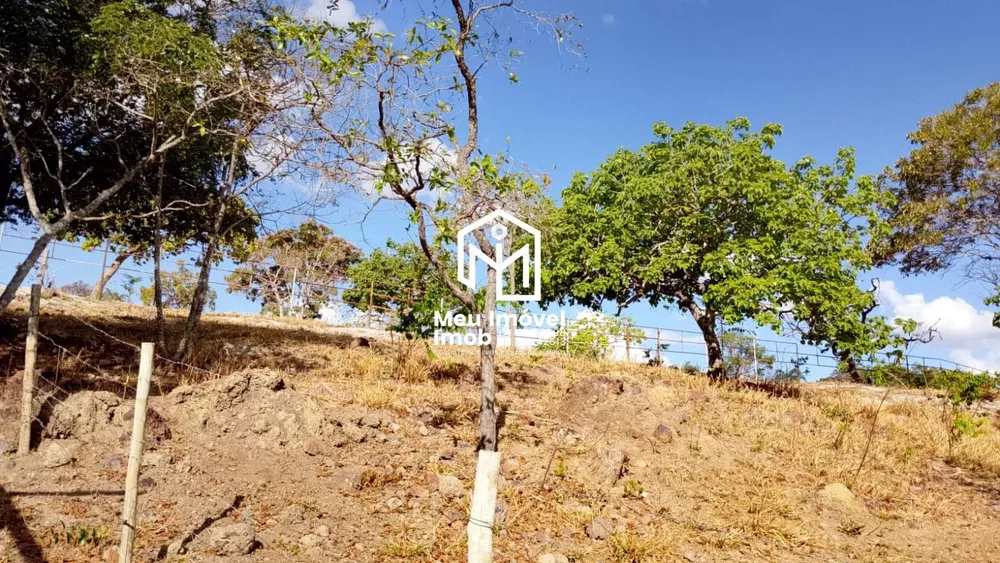 Chácara, 6 quartos, 2 hectares - Foto 4