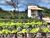 Terreno, 900 m² - Foto 6
