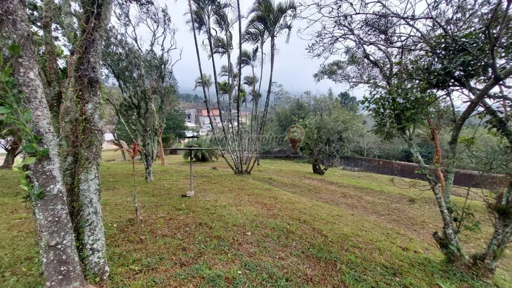 Sítio, 3 quartos, 9659 m² - Foto 2