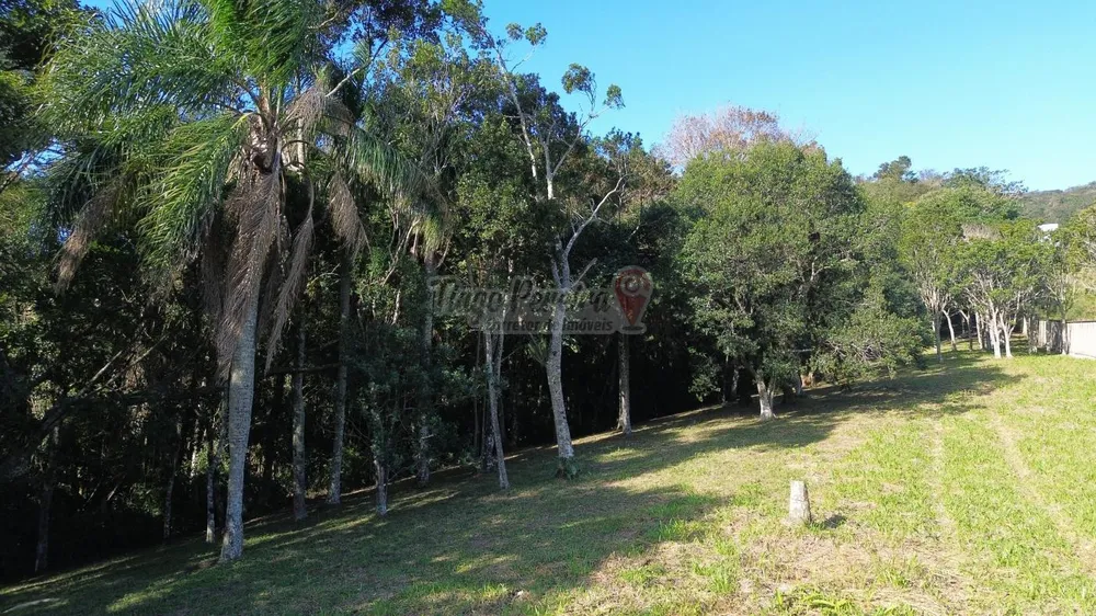 Sítio, 3 quartos, 9659 m² - Foto 10