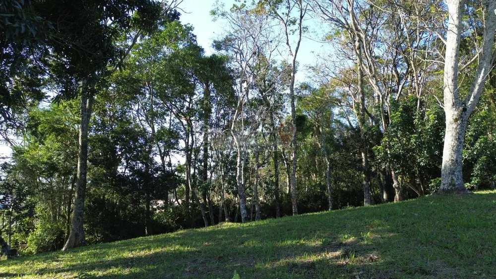 Sítio, 3 quartos, 9659 m² - Foto 8