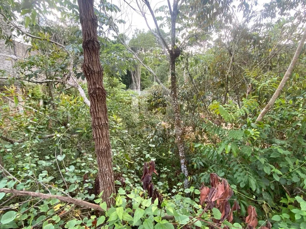 Terreno, 250 m² - Foto 3