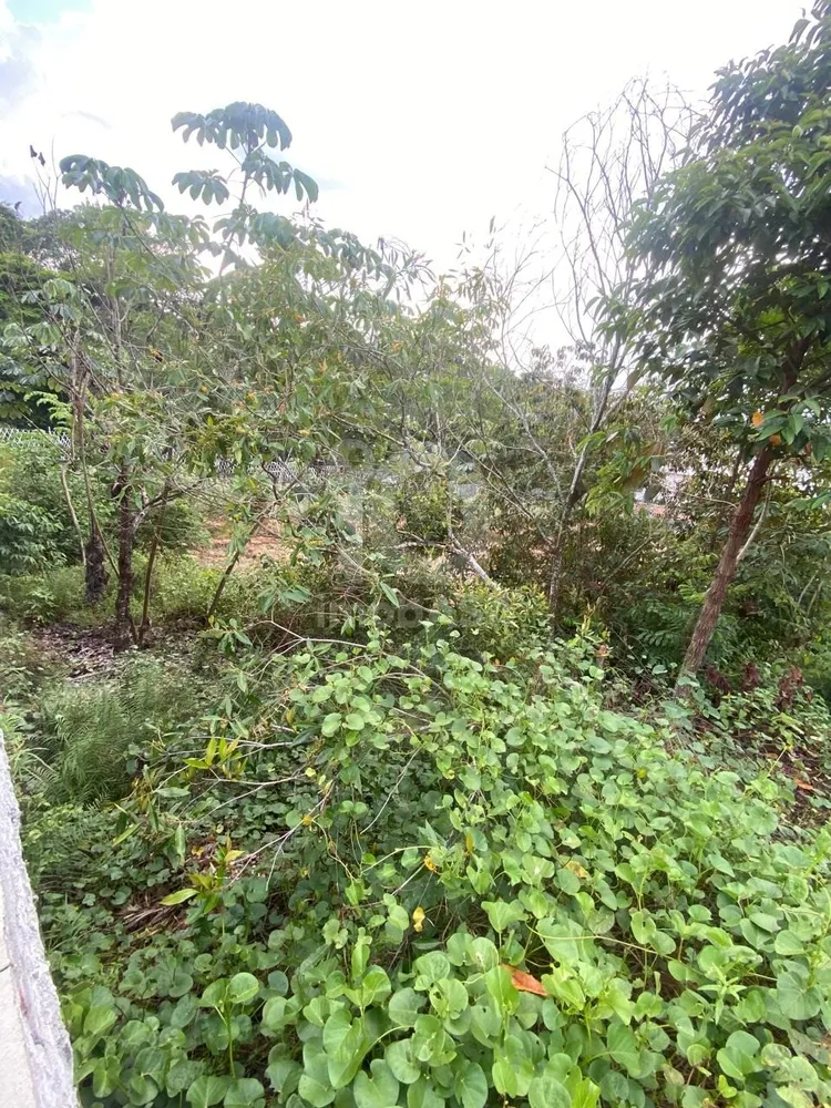 Terreno, 250 m² - Foto 2