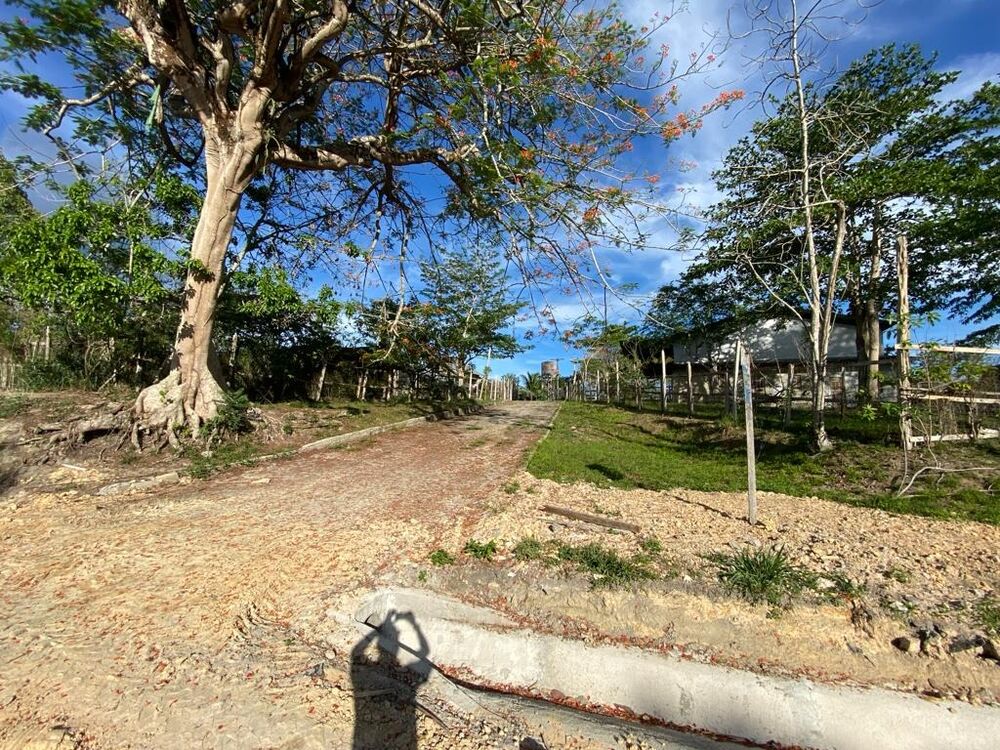 Fazenda - Foto 18