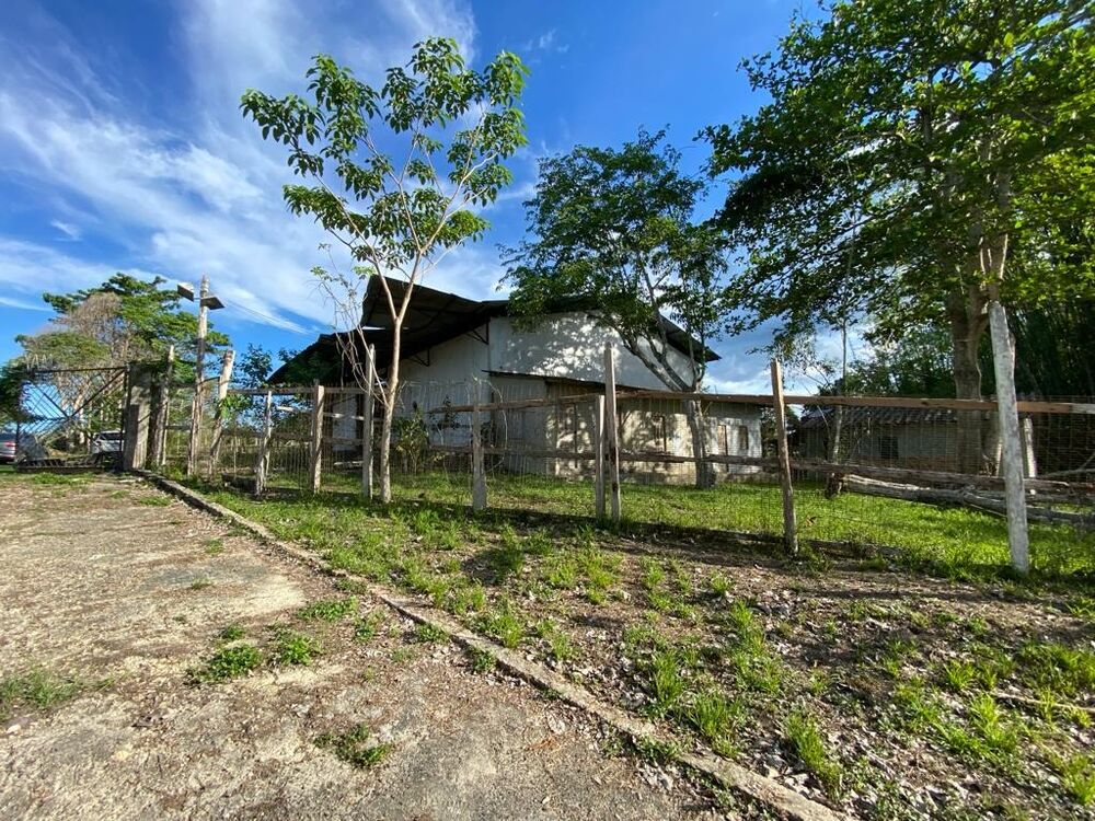 Fazenda - Foto 13