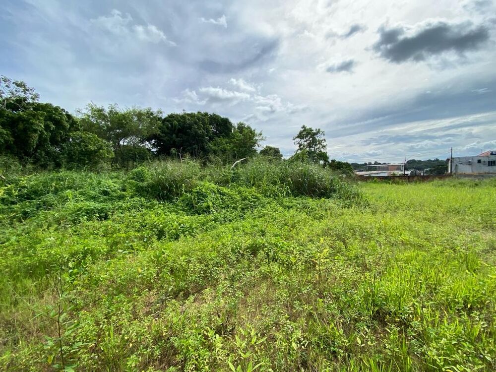 Loteamento e Condomínio, 5400 m² - Foto 7