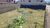 Terreno, 376 m² - Foto 1