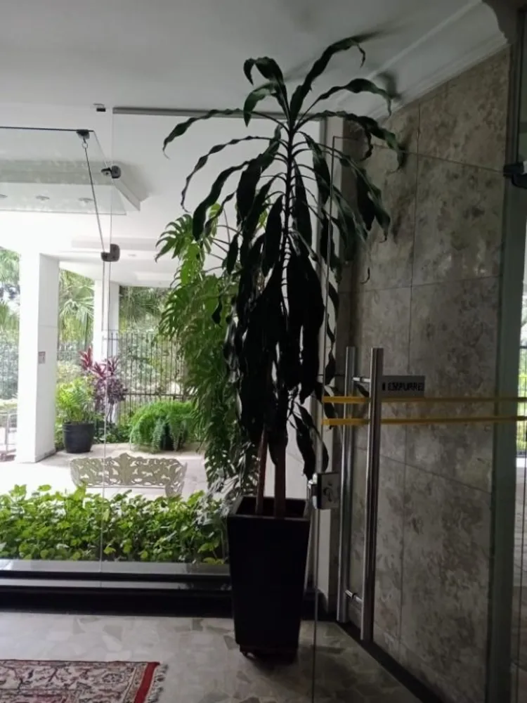 Apartamento, 3 quartos, 270 m² - Foto 10