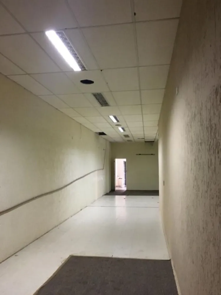 Sala-Conjunto, 240 m² - Foto 5