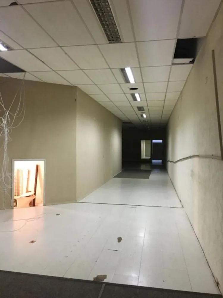 Sala-Conjunto, 240 m² - Foto 4