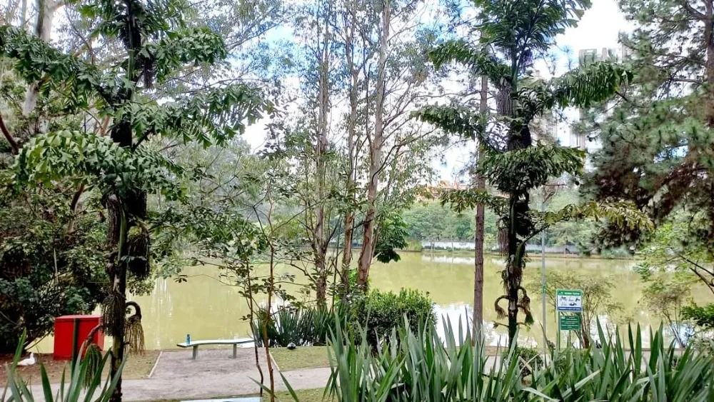 Casa, 4 quartos, 669 m² - Foto 1