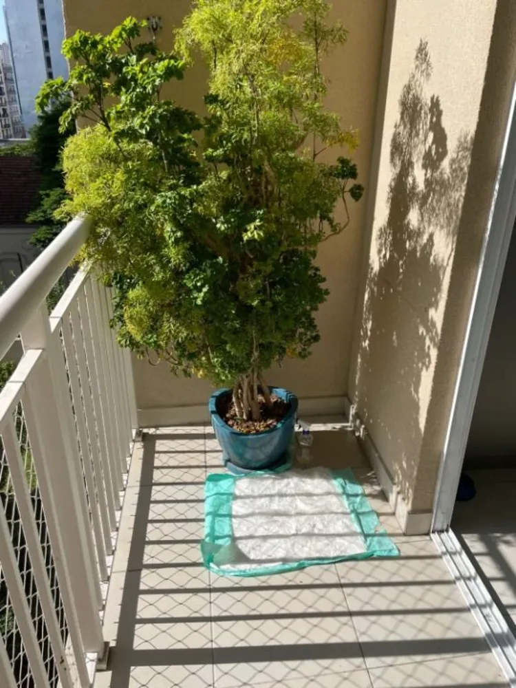 Apartamento, 1 quarto, 27 m² - Foto 2