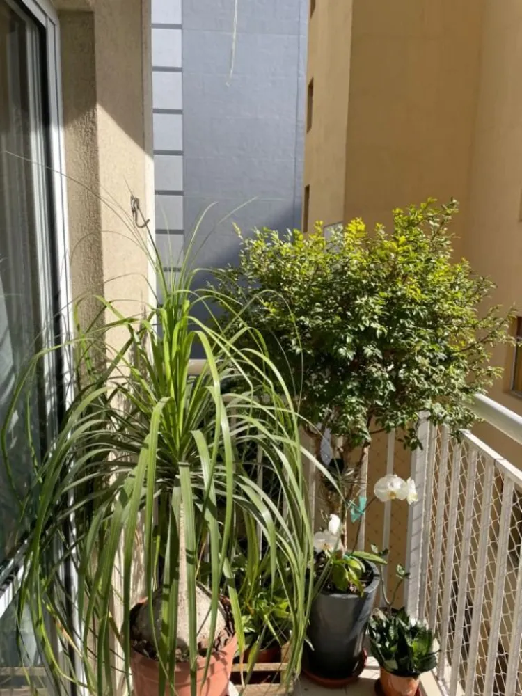 Apartamento, 1 quarto, 27 m² - Foto 12