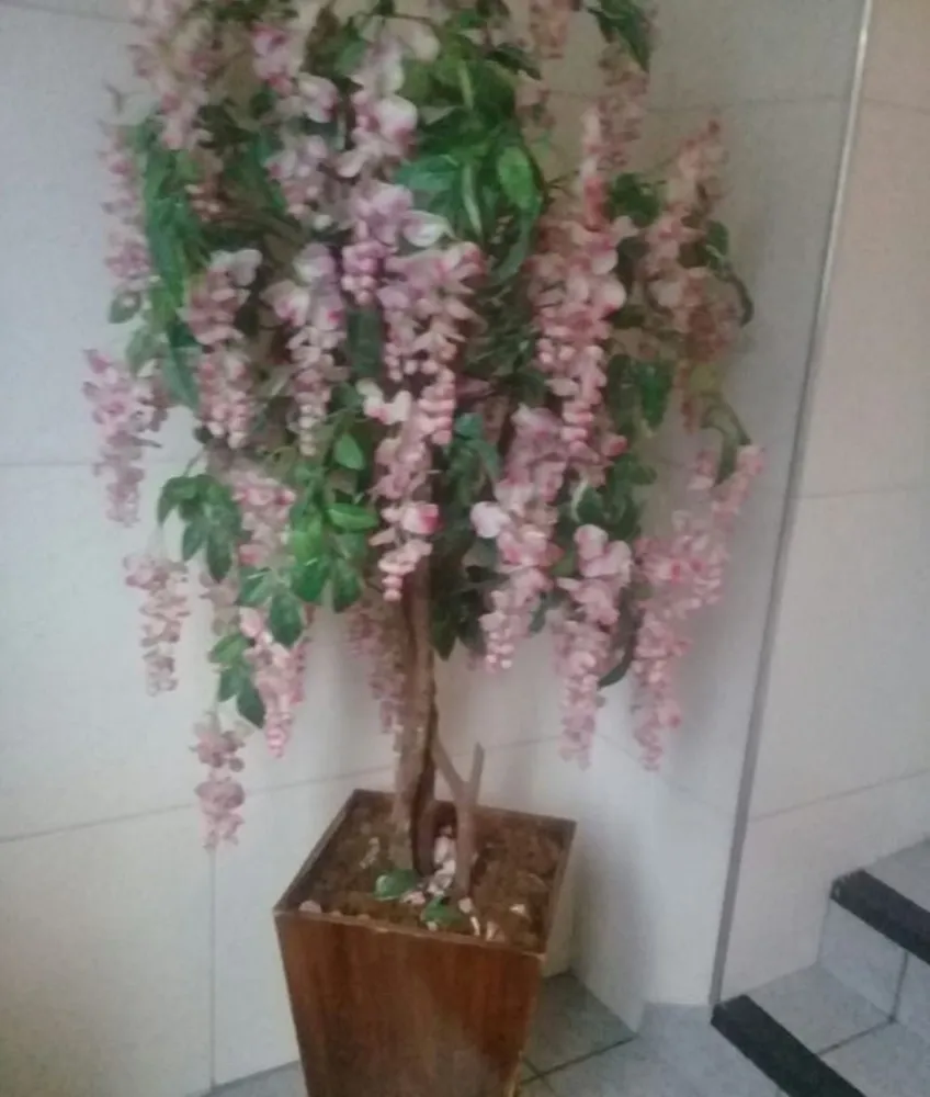 Apartamento, 1 quarto, 30 m² - Foto 1