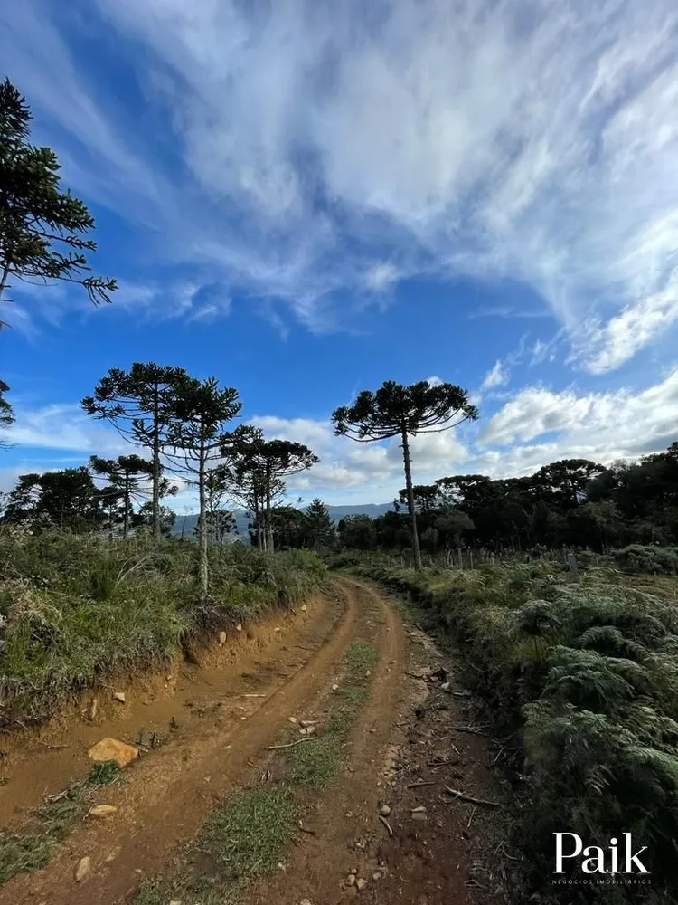 Loteamento e Condomínio, 5 hectares - Foto 1